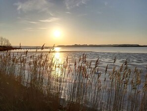 A frozen lake with tall grasses in the foreground and a sunset in the background. - Huus Schippe "stockholm" (Maasholm)