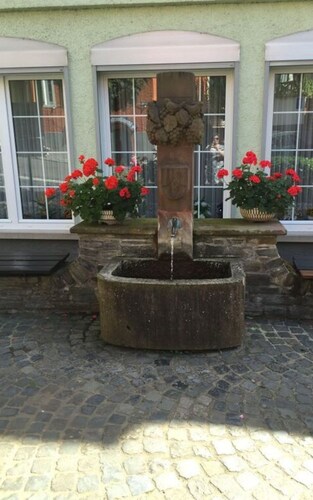 Uitzicht op de Moezel in Urzig