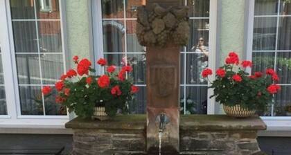 Uitzicht op de Moezel in Urzig