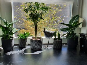 Interior - 1 in the Kustenvilla Usedom (Zinnowitz)