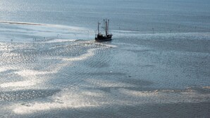 รูปภาพที่ไม่ได้จัดประเภท, 4 จาก 21, ปุ่ม