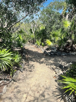 A dirt path surrounded by lush greenery and trees.