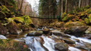 A forested area with a stream flowing over rocks, a bridge, and a forested background. - Appartement Peter in Freyung im Bayerischen Wald (Freyung)