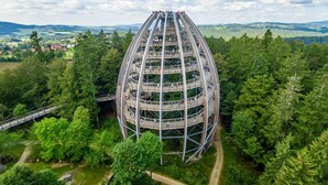 A multi-level observation tower with a spiral walkway, surrounded by dense forest and a distant town. - Appartement Peter in Freyung im Bayerischen Wald (Freyung)