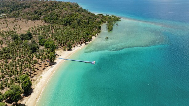 Vista aérea de una playa con un muelle que se adentra en aguas turquesas, rodeada de exuberante vegetación tropical y un cielo despejado.