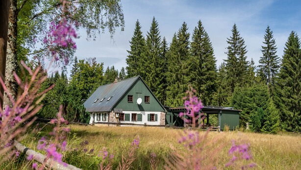 A green house with a sloped roof, surrounded by tall trees and a grassy field.