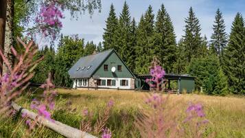 Udendørsområde