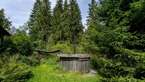 A rustic wooden structure surrounded by dense greenery and tall trees.