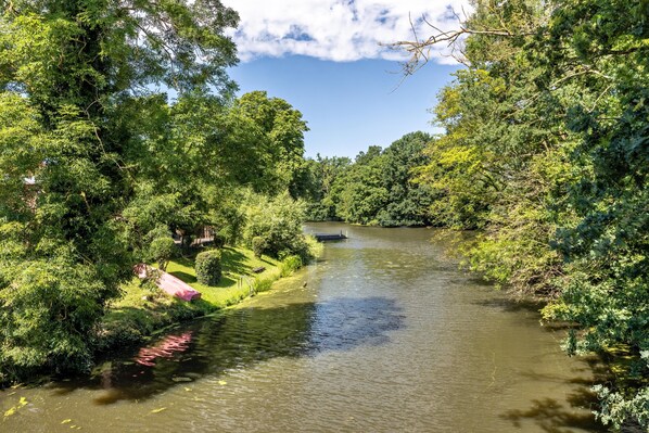 A river surrounded by dense greenery and a small bridge.