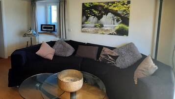 TV, fireplace, DVD player, stereo