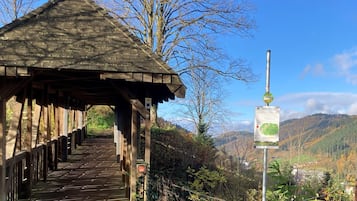 Área da propriedade