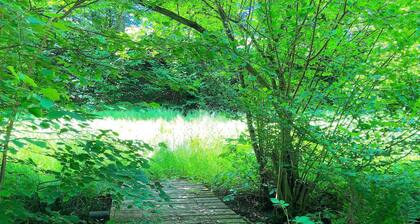 Scenic Holiday Home in Windeck With Garden