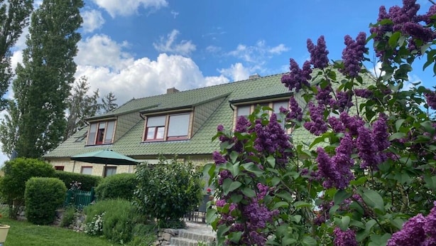 Una casa de dos pisos con techo verde, rodeada de abundante vegetación y flores moradas.