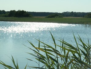 Un lac paisible dont les eaux reflètent le ciel, entouré de verdure et d’arbres.