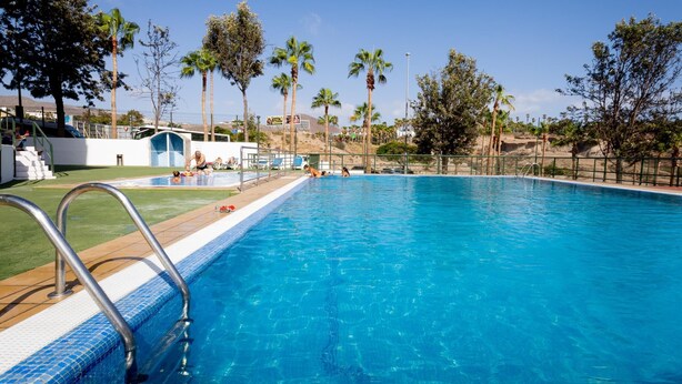 A swimming pool with clear blue water, surrounded by palm trees and a grassy area. - 523 center Playa las Americas, pool and wifi (Playa de las Américas)