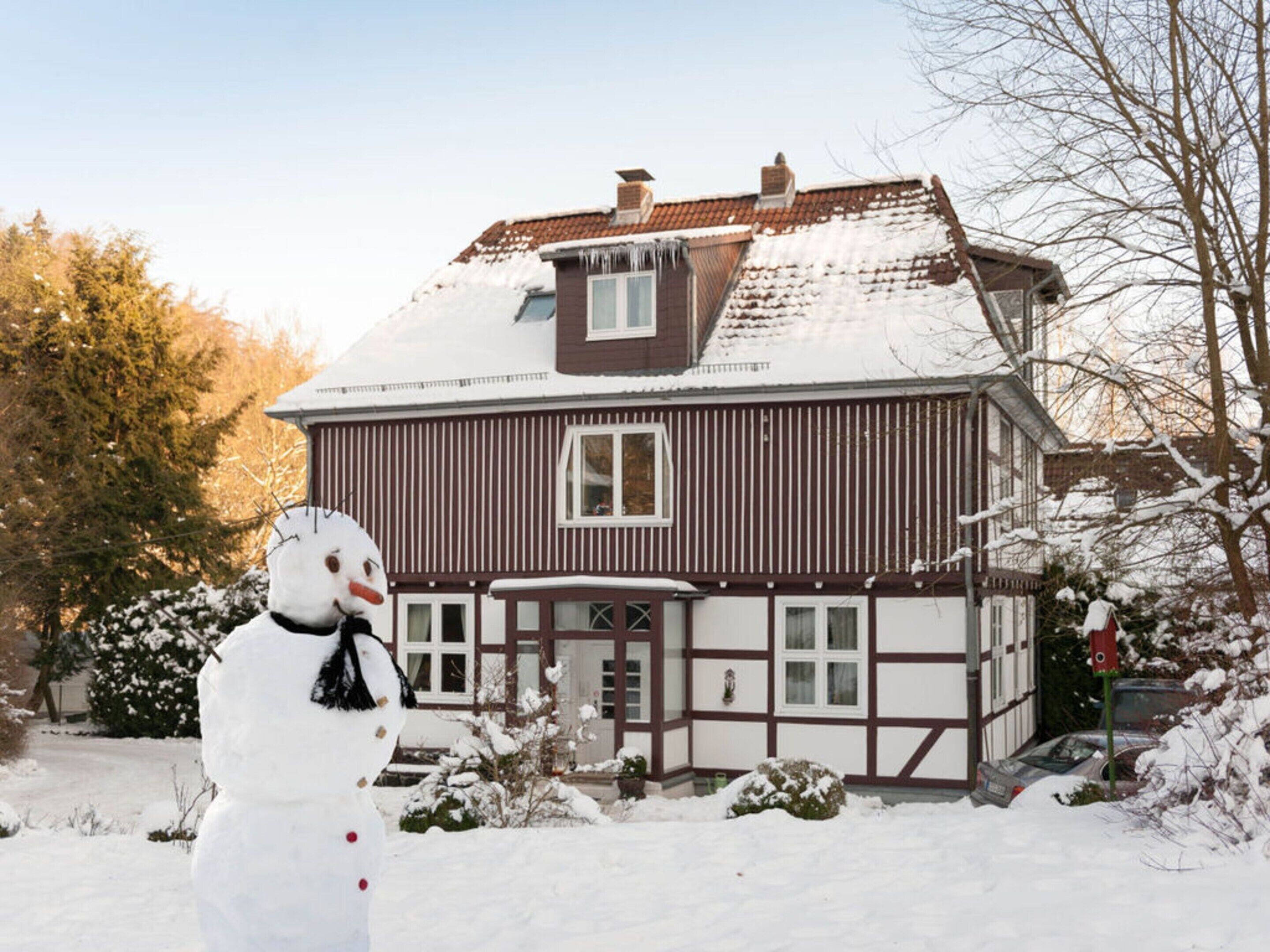 Eksteriør