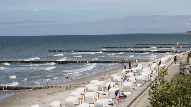 Una playa con hileras de sillas y sombrillas, un muelle de madera y el océano al fondo.