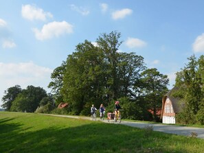 Pool - Holiday Home Deichkind on the Elbe Dike (Lenzerwische)