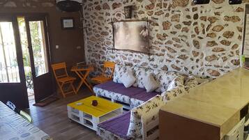 TV, fireplace, video games, books