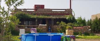 Maison la branche d oiseaux