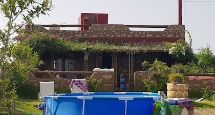 Maison la branche d oiseaux