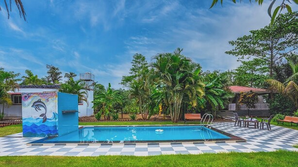Una piscina con diseño a cuadros, rodeada de abundante vegetación y un mural de delfín.