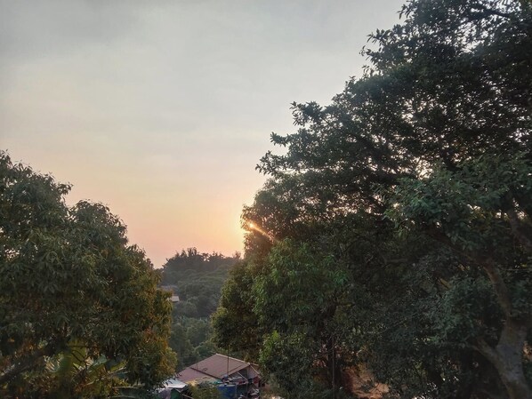 Un paysage rural avec une maison entourée d’arbres denses et un ciel dégagé.