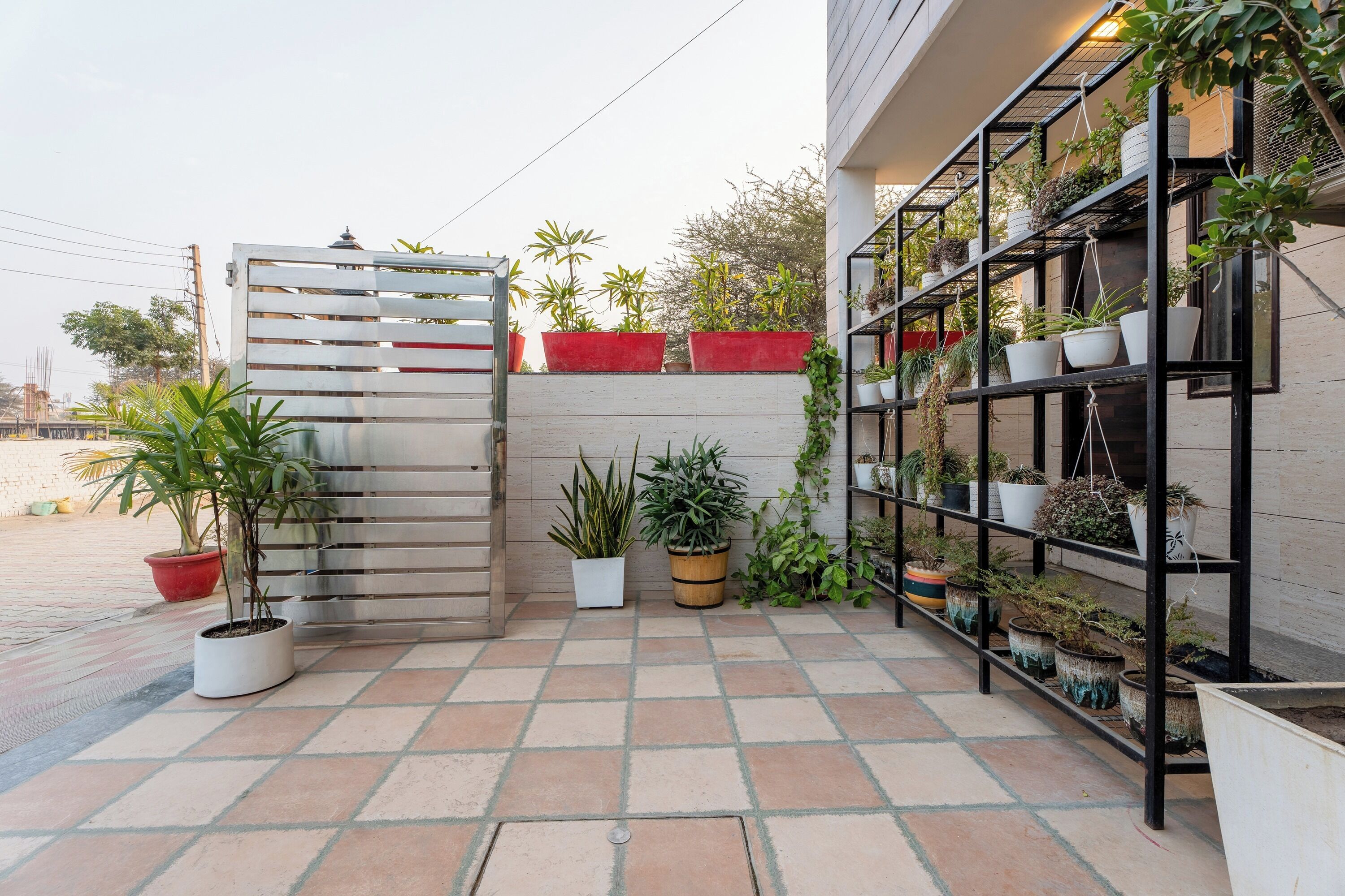 A patio with potted plants, a gate, and a shelving unit with more plants.