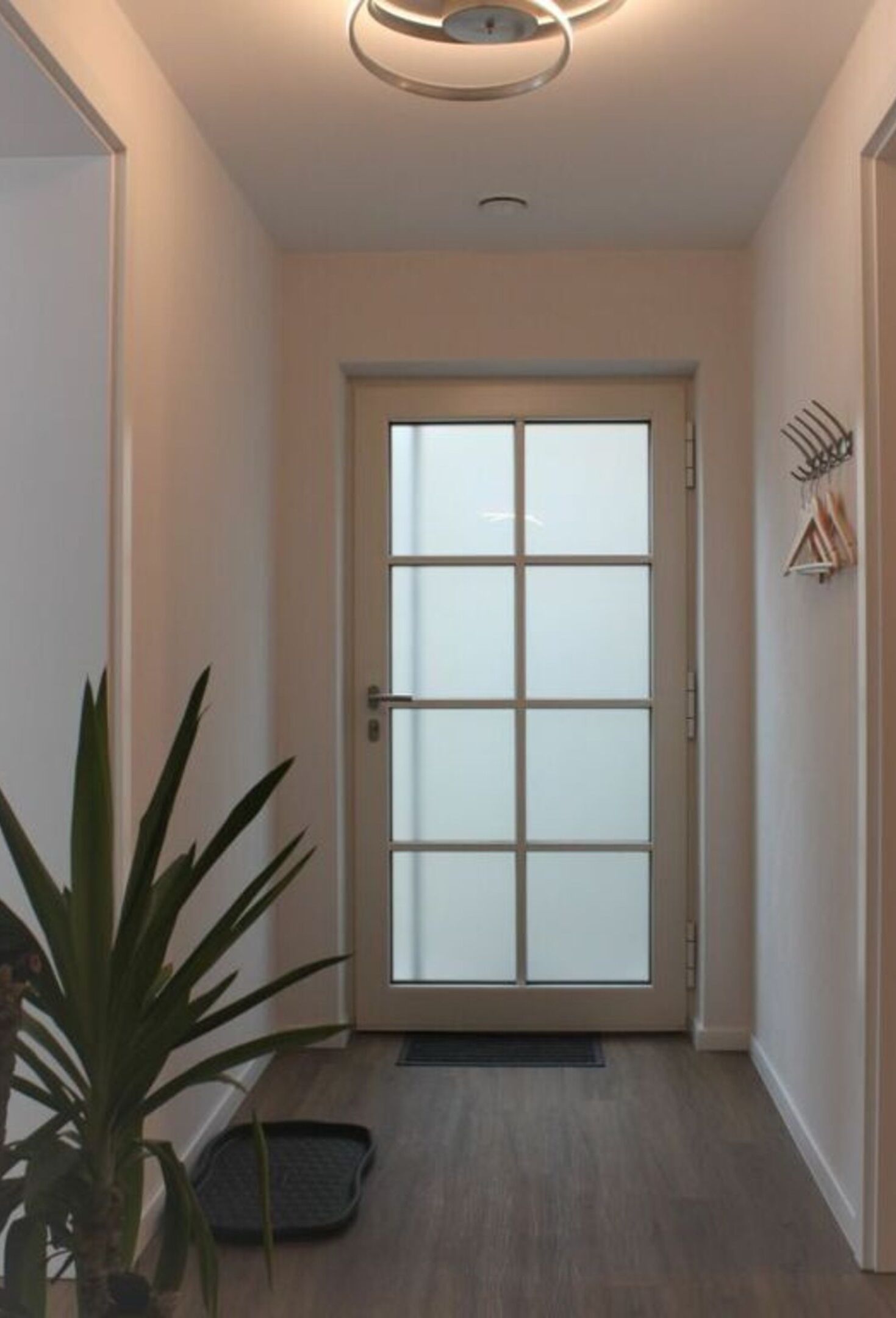 Un couloir avec une porte en verre dépoli, une plante en pot et un porte-manteau fixé au mur.