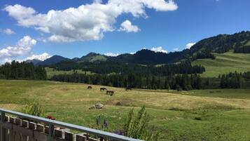 Vista da propriedade