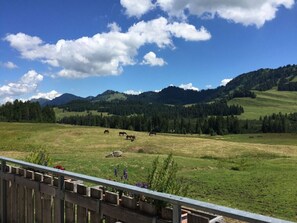 Vista da propriedade