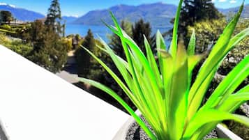 Apartment, 2 Bedrooms, Smoking | View from property