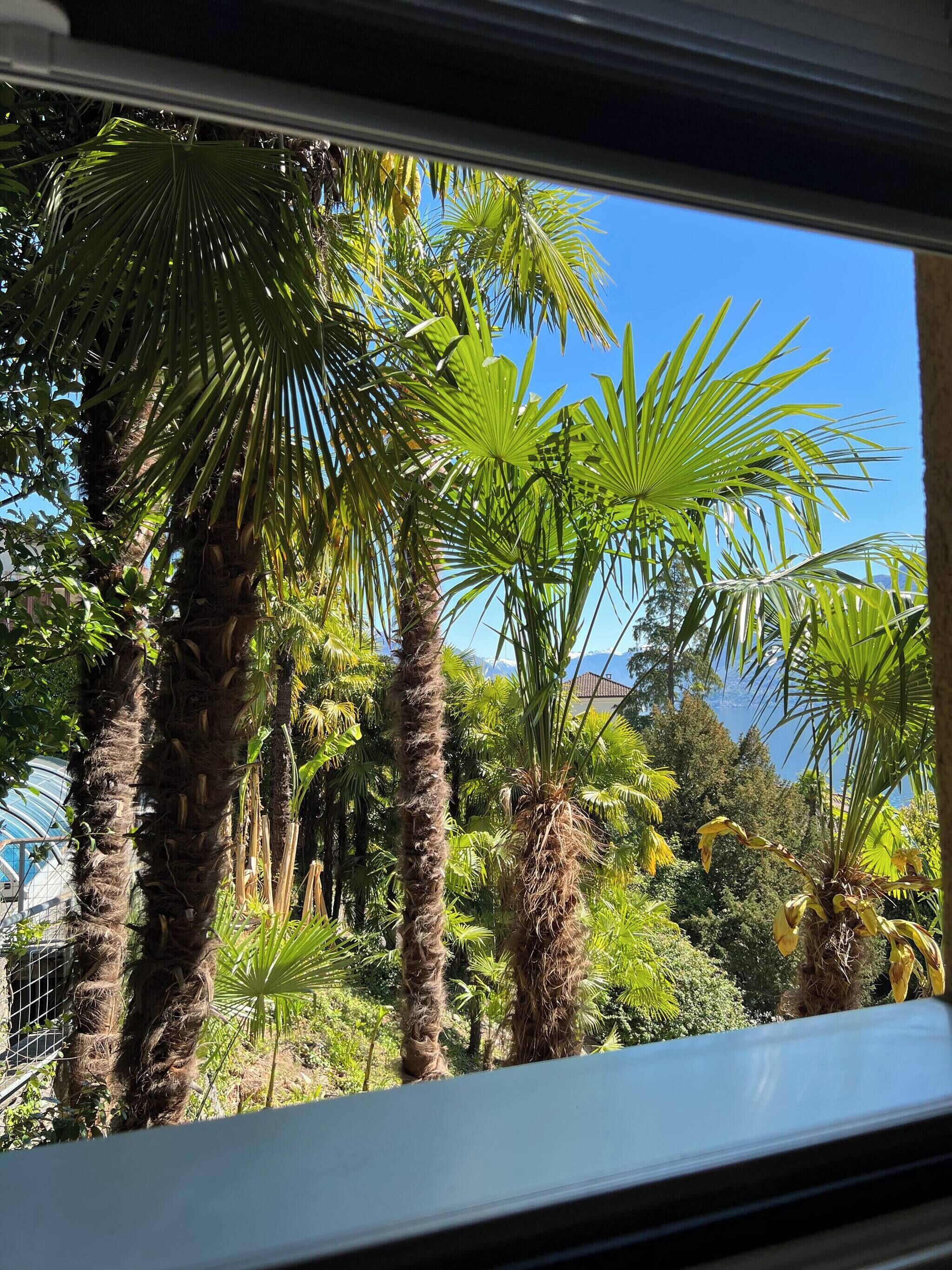 Apartment, 2 Schlafzimmer, Raucher | Blick von der Unterkunft