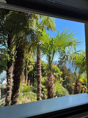 Apartment, 2 Bedrooms, Smoking | View from property