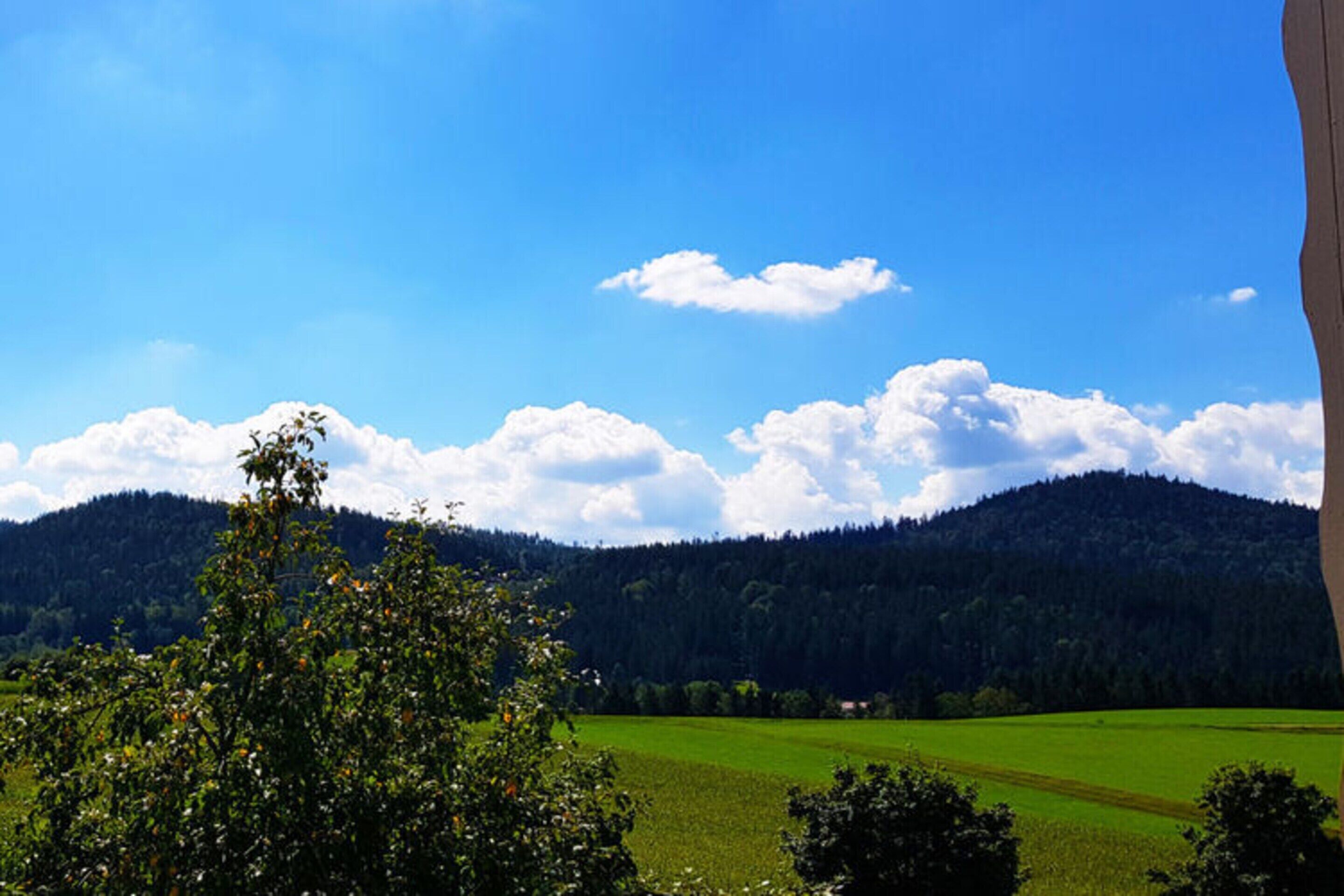 Eine Landschaft mit blauem Himmel, grünen Feldern und einem bewaldeten Hügel.