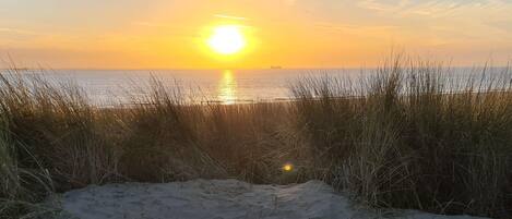 House | View from property