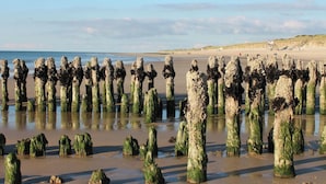 A beach with numerous rock formations covered in green algae. - Haus Ruusenhoog - Apartment 7 (Sylt)