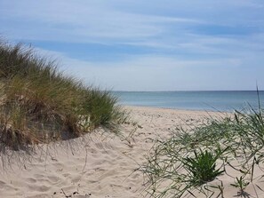 House | Beach