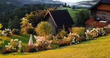 Andi's Berghutte Comfortable Holiday Residence