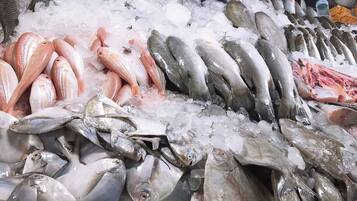 Variedad de pescado fresco sobre hielo.