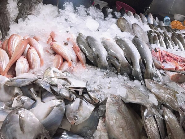 A variety of fresh fish displayed on ice.