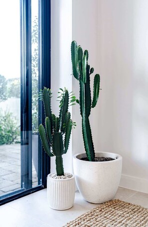 A cactus plant in a white pot next to a window with a view of greenery outside.