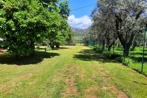 Terrain de l’hébergement 