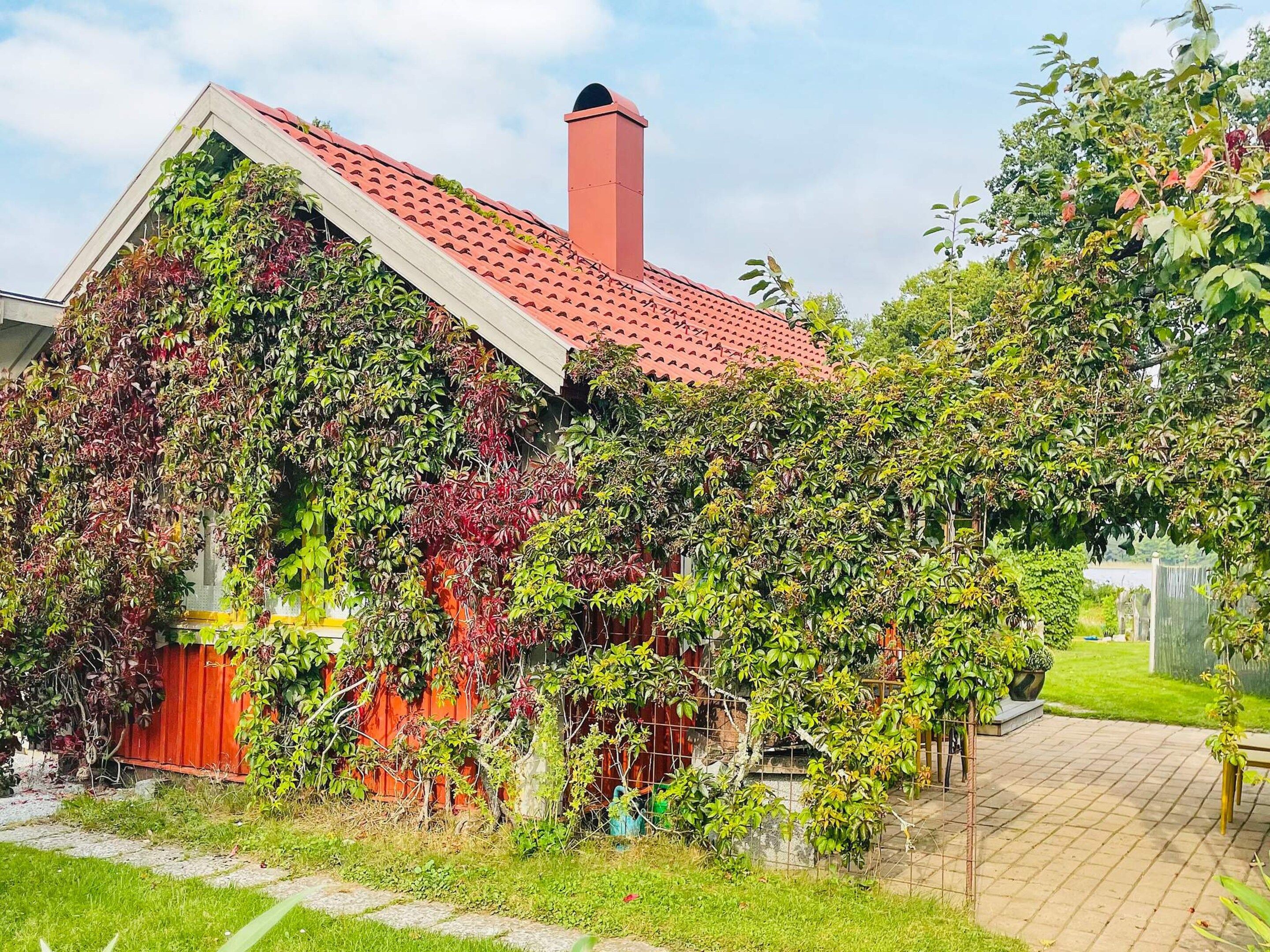 Una casa con techo rojo y chimenea, rodeada de abundante vegetación y un camino pavimentado.