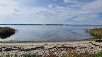 A calm body of water with a sandy shore and sparse vegetation.