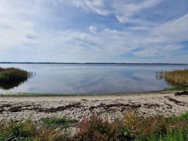 A calm body of water with a sandy shore and sparse vegetation.