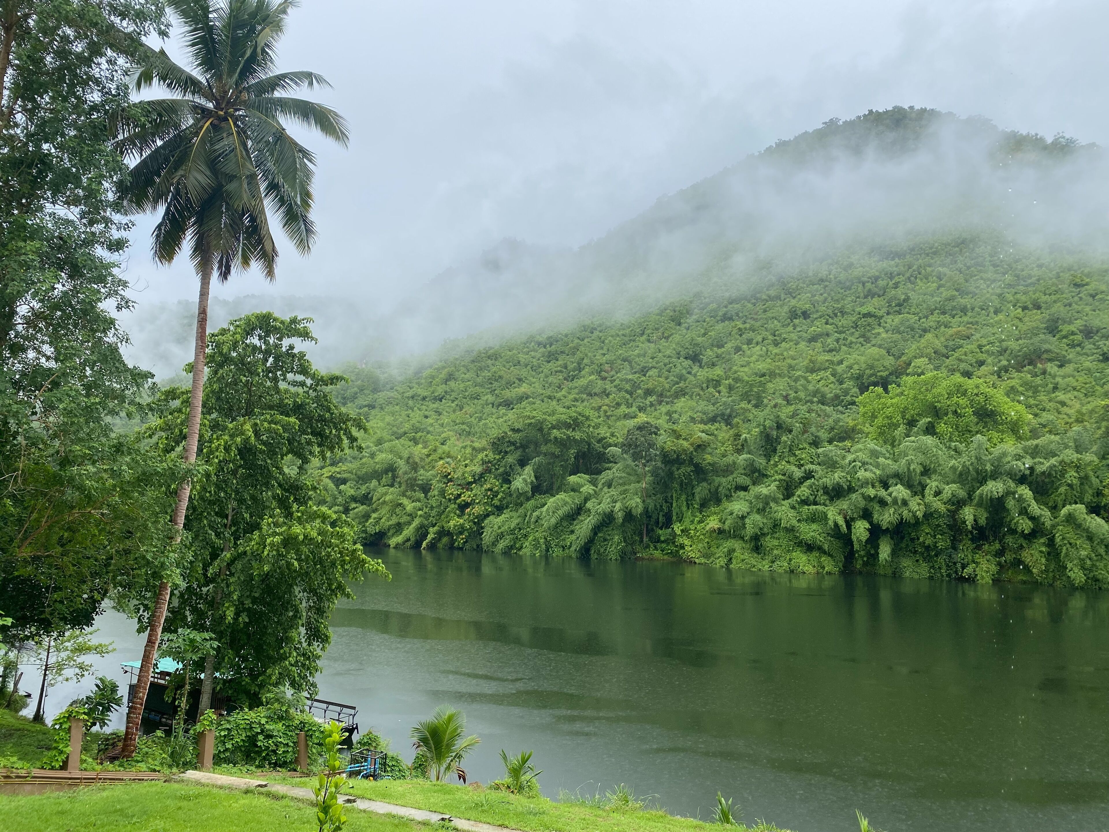 A lush green landscape with a river, dense forest, and mist-covered mountains.