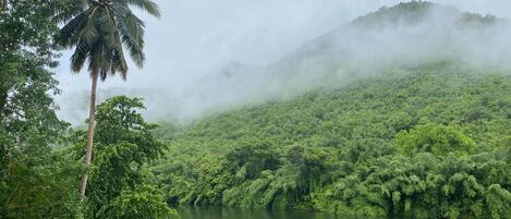 A lush green landscape with a river, dense forest, and mist-covered mountains.