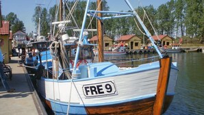 A docked boat with the number "FRE 9" on its side. - to the Beach Comfortable Holiday Residence (Lubmin)