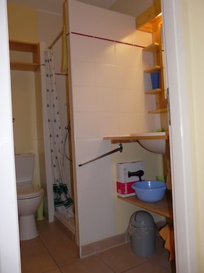 Shower, hair dryer, soap, toilet paper - Situation Remarquable au Bord de la Nature Tout en Étant Dans Annecy (Annecy)